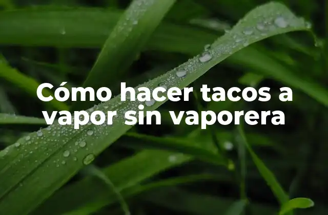 Cómo Hacer Tacos a Vapor sin Vaporera