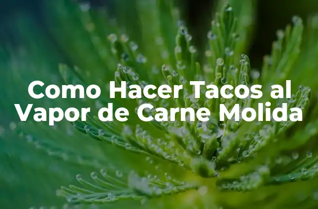 Como Hacer Tacos Al Vapor de Carne Molida