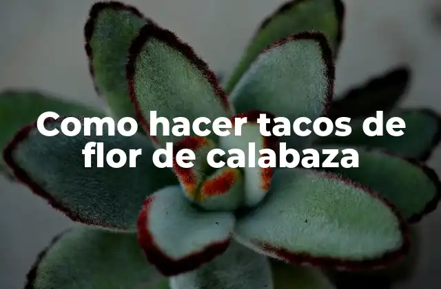 Como Hacer Tacos de Flor de Calabaza