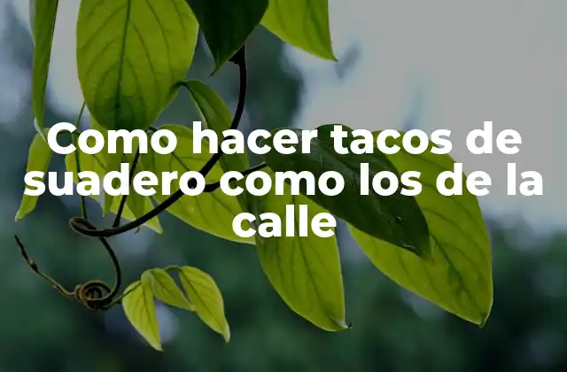 Como Hacer Tacos de Suadero como los de la Calle