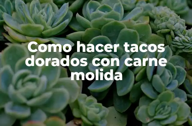 Como Hacer Tacos Dorados con Carne Molida