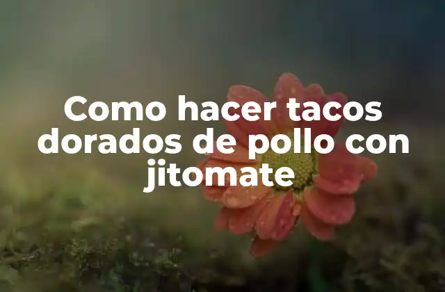 Tacos dorados de pollo con jitomate: ¿Qué son y para qué sirven?