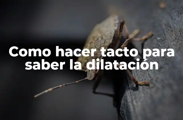 Como Hacer Tacto para Saber la Dilatación
