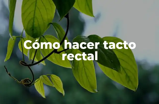 Cómo Hacer Tacto Rectal