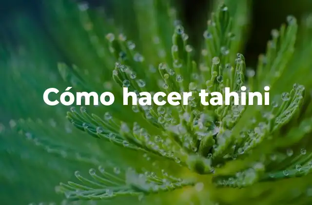 Cómo Hacer Tahini