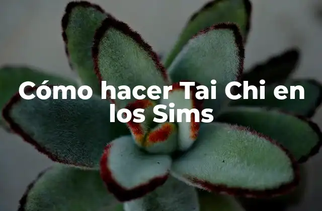 Cómo Hacer Tai Chi en los Sims