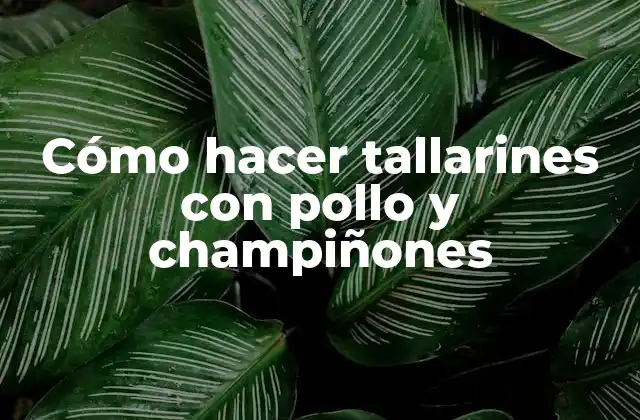 Cómo Hacer Tallarines con Pollo y Champiñones