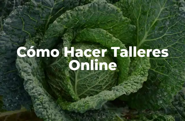 Cómo Hacer Talleres Online