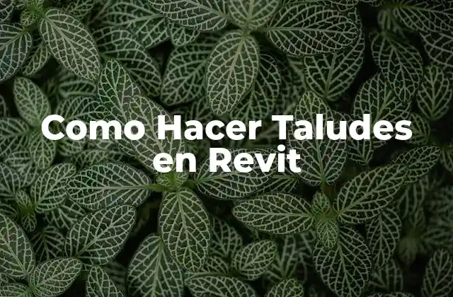 Como Hacer Taludes en Revit 2 ¿Qué son los Taludes en Revit?