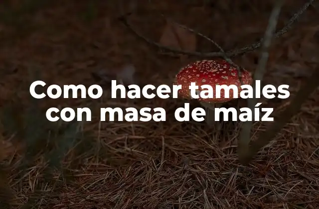 Como Hacer Tamales con Masa de Maíz 2 Tamales con masa de maíz