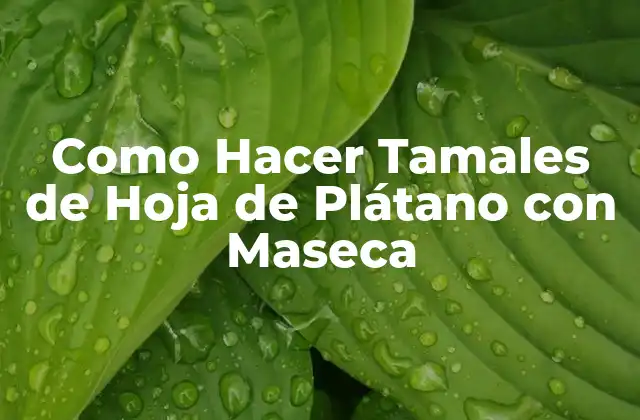 ¿Qué son los Tamales de Hoja de Plátano con Maseca?