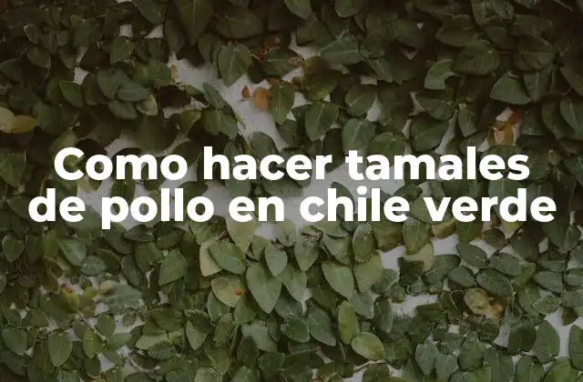 Como Hacer Tamales de Pollo en Chile Verde