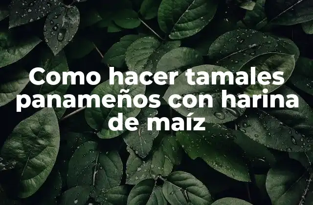 Como Hacer Tamales Panameños con Harina de Maíz