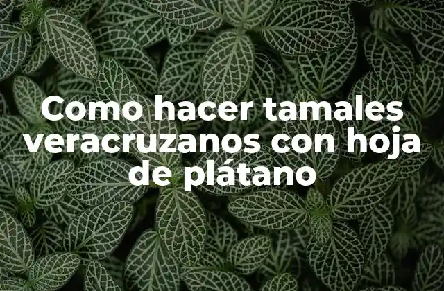 Como Hacer Tamales Veracruzanos con Hoja de Plátano