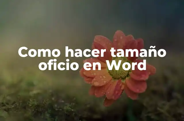Como Hacer Tamaño Oficio en Word