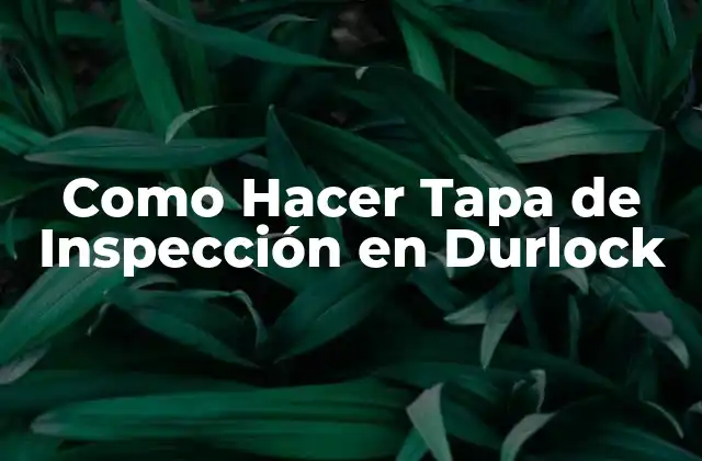 Como Hacer Tapa de Inspección en Durlock