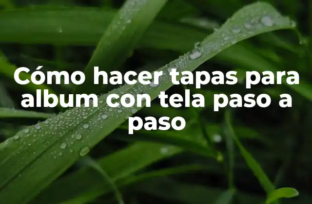 Cómo hacer tapas para álbum con tela paso a paso
