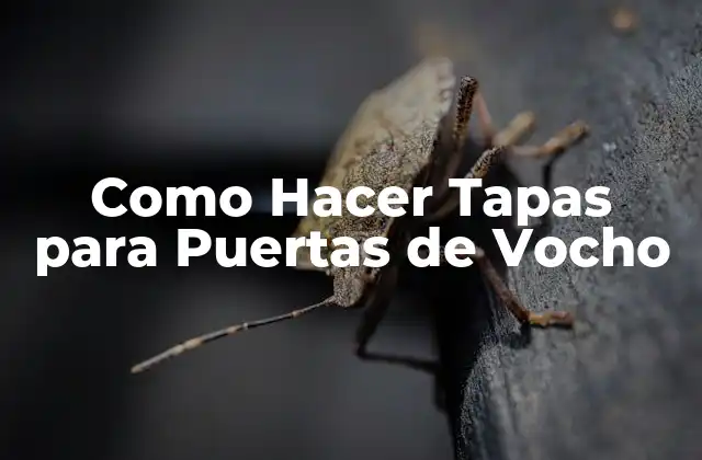 Como Hacer Tapas para Puertas de Vocho