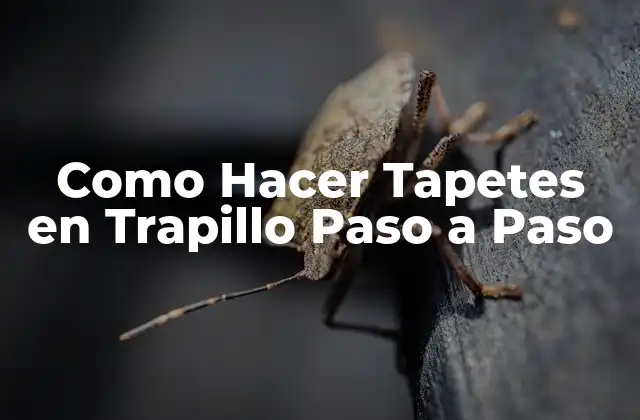 Como Hacer Tapetes en Trapillo Paso a Paso