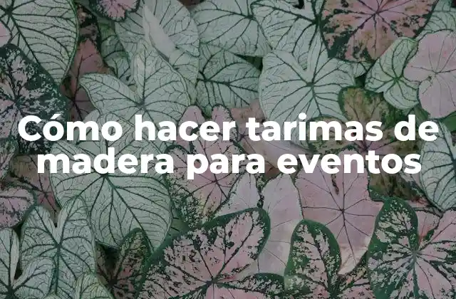 Cómo Hacer Tarimas de Madera para Eventos