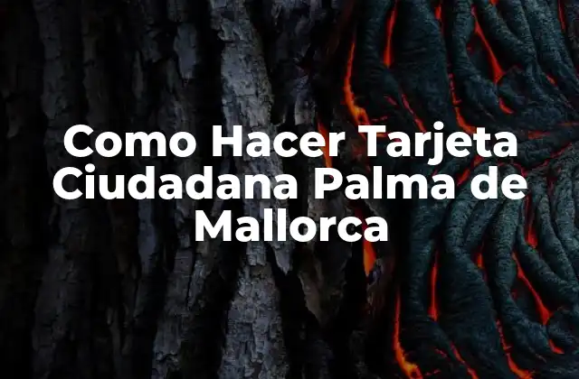 Como Hacer Tarjeta Ciudadana Palma de Mallorca