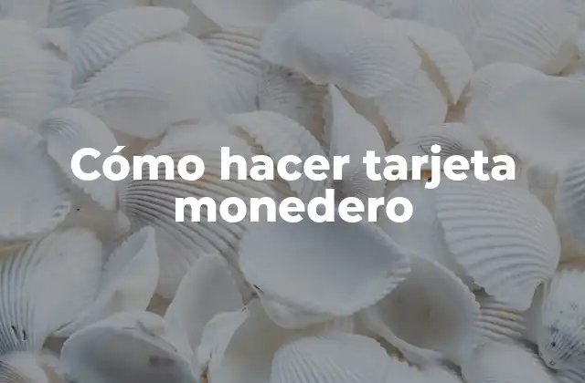 Cómo Hacer Tarjeta Monedero