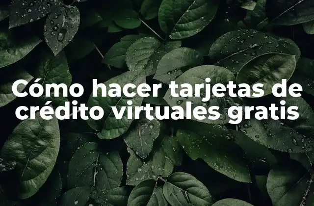 Cómo Hacer Tarjetas de Crédito Virtuales Gratis