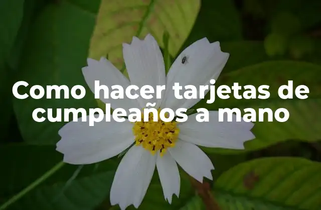 Como Hacer Tarjetas de Cumpleaños a Mano