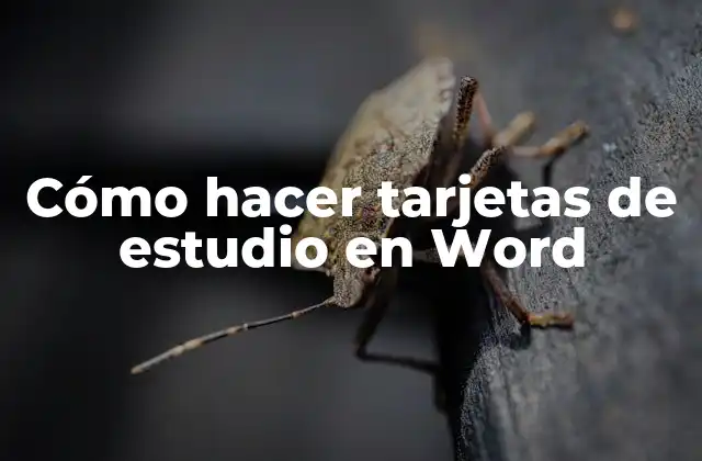 Cómo Hacer Tarjetas de Estudio en Word