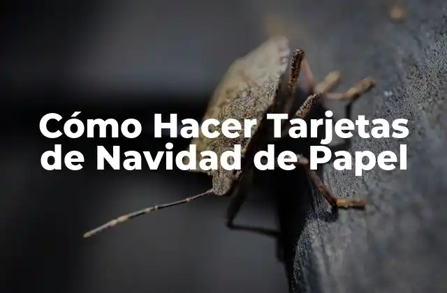 Cómo Hacer Tarjetas de Navidad de Papel