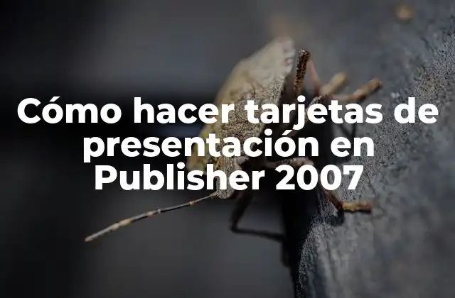 Cómo Hacer Tarjetas de Presentación en Publisher 2007