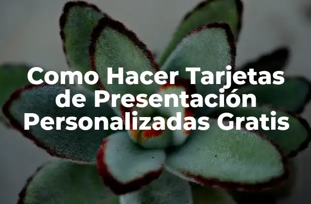Como Hacer Tarjetas de Presentación Personalizadas Gratis