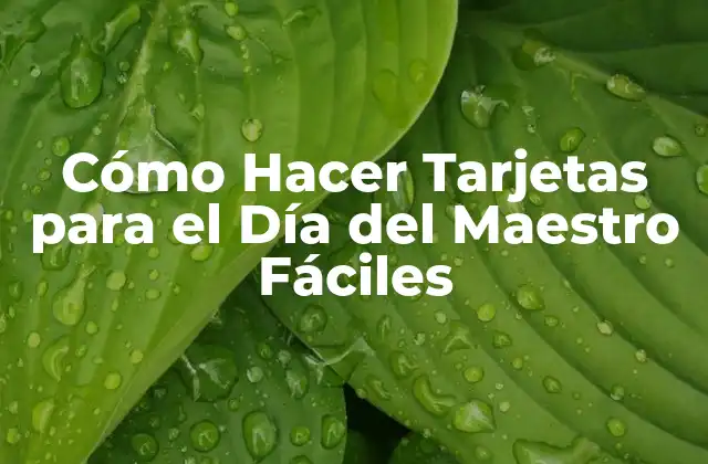 Cómo Hacer Tarjetas para el Día Del Maestro Fáciles