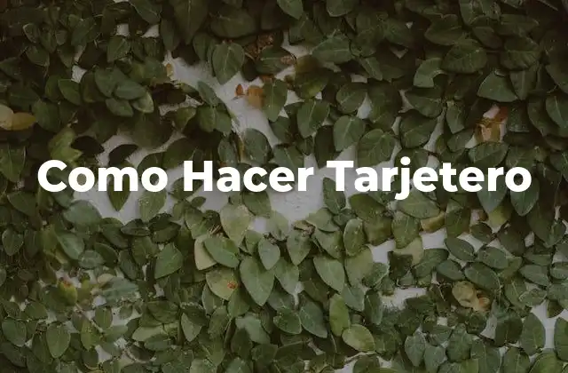 Como Hacer Tarjetero
