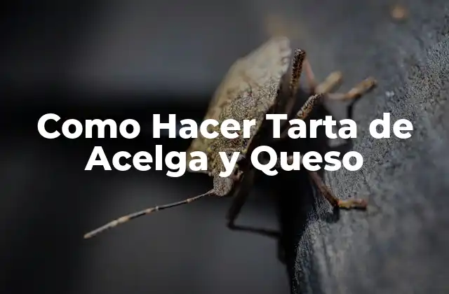 Como Hacer Tarta de Acelga y Queso