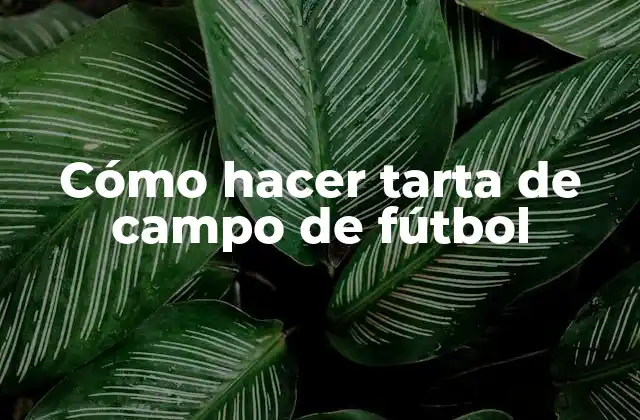 Cómo Hacer Tarta de Campo de Fútbol