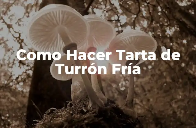 Como Hacer Tarta de Turrón Fría