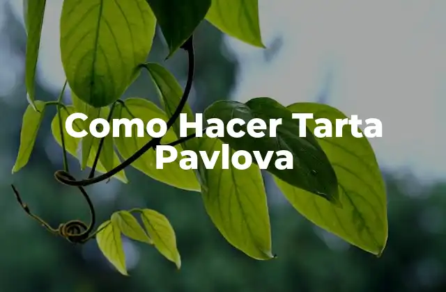 Como Hacer Tarta Pavlova