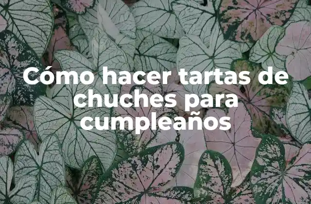 Cómo Hacer Tartas de Chuches para Cumpleaños