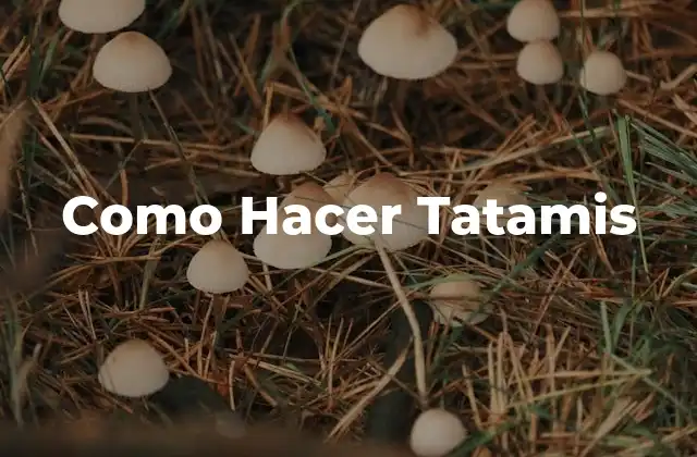 Como Hacer Tatamis