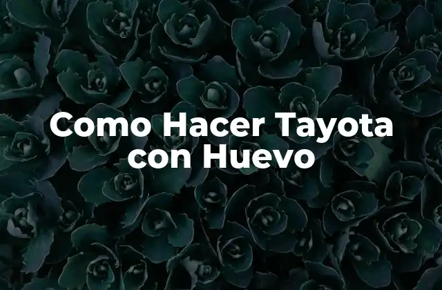 Como Hacer Tayota con Huevo