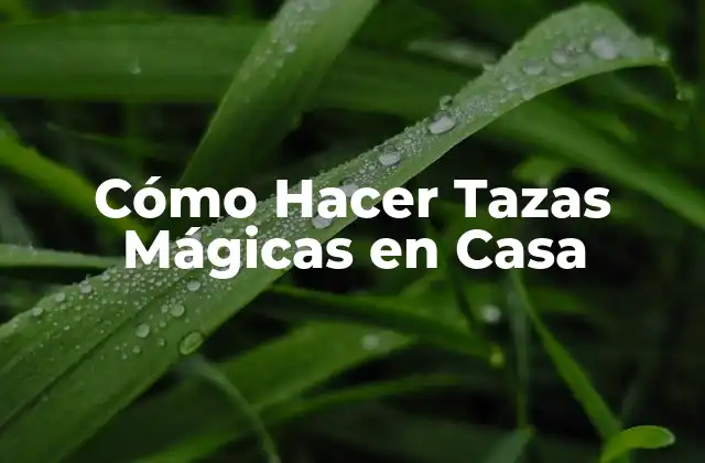 Cómo Hacer Tazas Mágicas en Casa