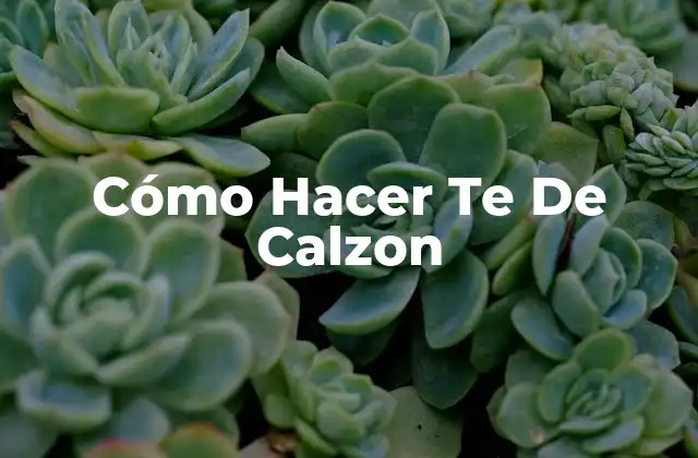 Cómo Hacer Te de Calzon