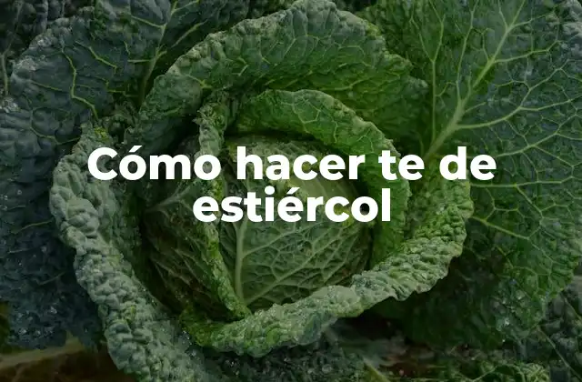 Cómo Hacer Te de Estiércol
