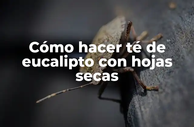 Cómo Hacer Té de Eucalipto con Hojas Secas