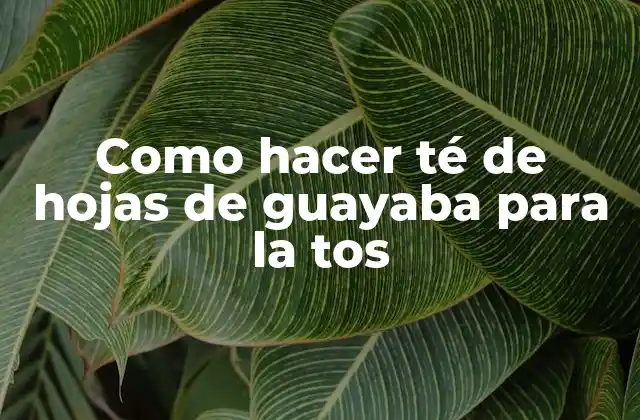 Como Hacer Té de Hojas de Guayaba para la Tos