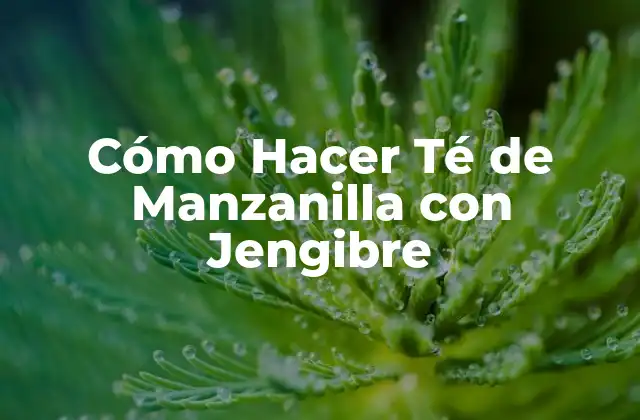 Cómo Hacer Té de Manzanilla con Jengibre
