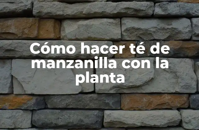 Cómo Hacer Té de Manzanilla con la Planta