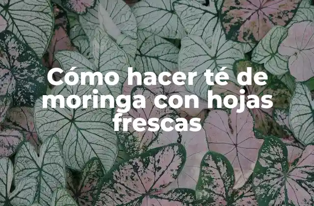 ¿Qué es el té de moringa con hojas frescas?