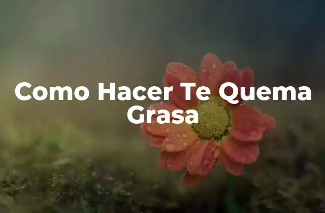 Como Hacer Te Quema Grasa